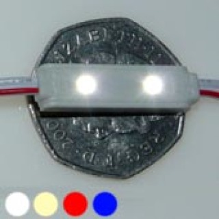 Micro (12v) 2 LED Modules
